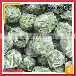 Supply Frozen Iqf Baby Green Spinach thumbnail-6
