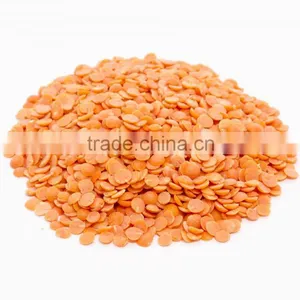 GREEN LENTILS, RED LENTILS, YELLOW LENTILS FOR SALE thumbnail-5