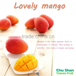 Hot Sale Fresh Mango (Grade AAA) thumbnail-1