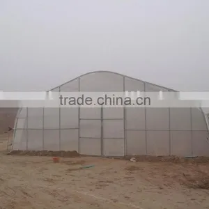 Tunnel Plastic Greenhouse thumbnail-2