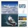 Shipping Company to Tampa thumbnail-1