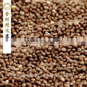 Brown Perilla Seeds for Oil/china Periiia Oil Supplier's Choice thumbnail-2
