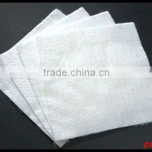 Geotextiles-CYBDXYcatherinezhang thumbnail-4