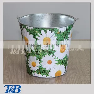Hot Selling Full Colour Gardening Pail thumbnail-1