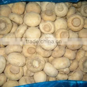 Hot Sell Fresh Frozen Mushroom thumbnail-2