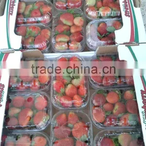 Fresh Strawberry thumbnail-1