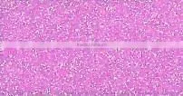 GIO-GLITTER SPECIAL / PU SPARKLING SHINY VINYL FOR TEXTILE HEAT TRANSFER FILM CAD PLOTTER CUT / SPECIAL COLOR thumbnail-6