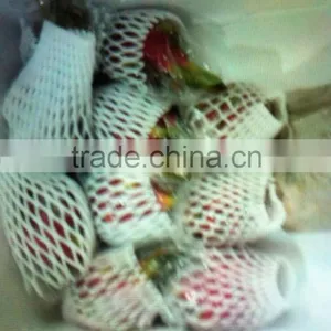 Dragon Fruit thumbnail-1