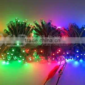 Single Color Waterproof LED Pixel Light Decoration Light Christmas Light thumbnail-5