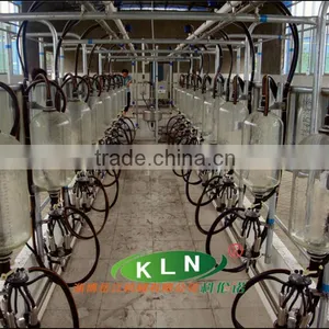 Fish-bone Type Milking Parlour thumbnail-1