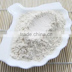 China Company Food Ingredient 100% Natural Poria Cocos Extract Powder , Tuckahoe Fuling Powder thumbnail-1