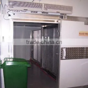 Cold Room thumbnail-1