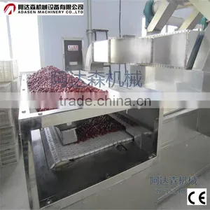 Tunnel Type Red Jujube Microwave Dryer Machine/Drying Machinery/Microwave Oven thumbnail-1