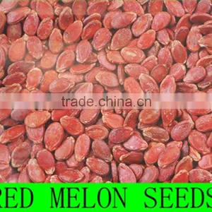 Red Melon Seeds thumbnail-1