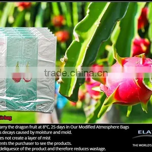 Dragon Fruit Bag thumbnail-1