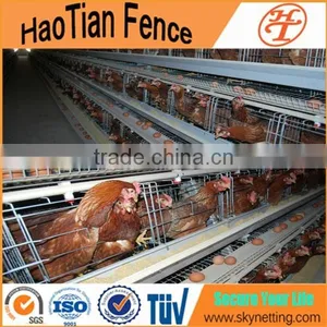 Galvanized Chicken Egg Layer Cages Design in South Africa thumbnail-4