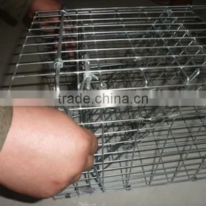 2015 the Most Popular Live Animal Traps (high Quality Wit Big Supply) thumbnail-4