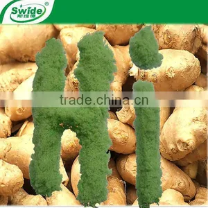 Compound Fertilizer NPK 20-20-0 thumbnail-1