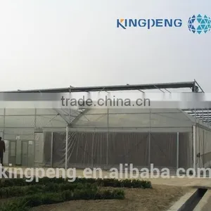 Solar Arch Greenhouse for Vegetables thumbnail-3
