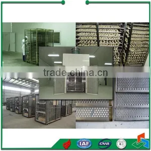 Fruit and Vegetable Tunnel Drying Machine Equipment thumbnail-4