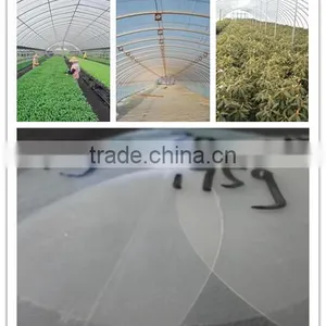 Hot Promotion Agricultural Film, Clear Plastic Anti-uv Greenhouse Film With Competitive Price thumbnail-1