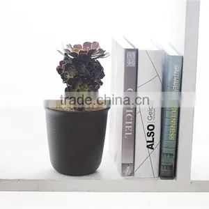 Plastic Round Resin Succulent Plant Pot/Cactus Plant Pot Flower Pot thumbnail-5