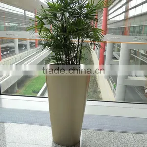 Gold Fiberglass Planter thumbnail-3