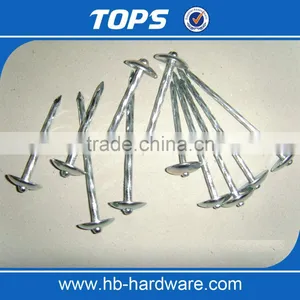 Umbrella Roofing Nails/coil Roofing Nails thumbnail-1