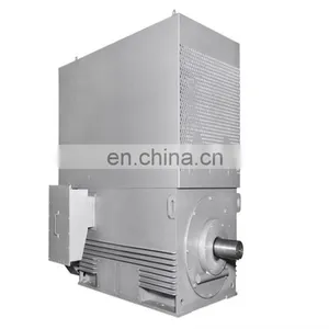 Siemens Brand Big Power 6.6KV High Efficiency Induction Motor thumbnail-3