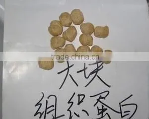 Full Automatic Textured Vegetarian Soya Beans Protein Process Line thumbnail-5