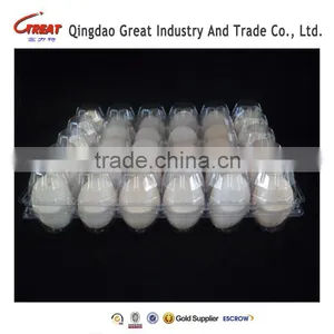 Disposable PET Plastic Eggs Tray 15 Holes thumbnail-3