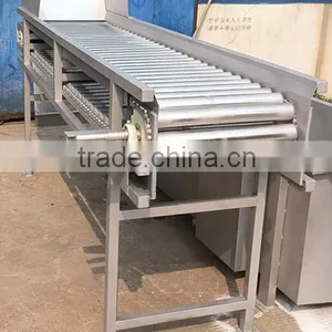 Stainless Steel Fruit Sorting Machine thumbnail-3