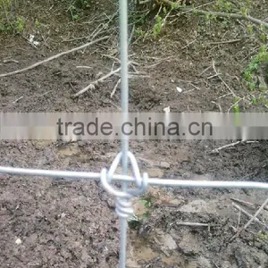 2016 Hot Sale Made in China Cattle/goat/ranch Fence thumbnail-3