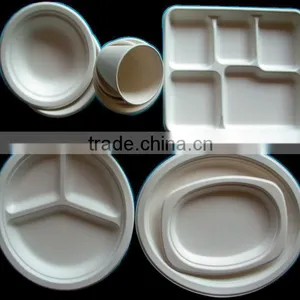Sugarcane Product thumbnail-1