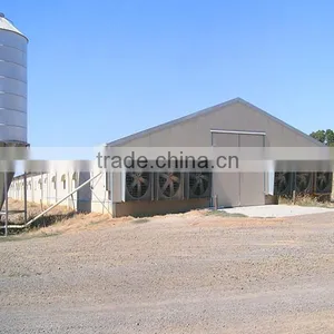 Low Cost Egg Poultry Farm Build Chicken Coop For Laying Hens In Angola thumbnail-1