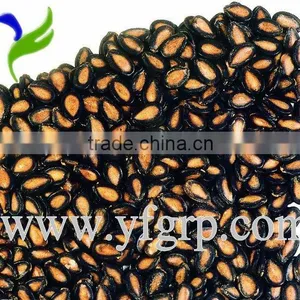 Chinese Black Watermelon Seed thumbnail-1