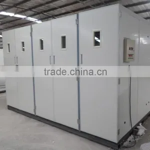 Incubateur Pour Les Oeufs de Caille/ Incubateur Capacity 33792 in Algeria thumbnail-4