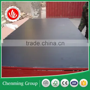 India Market ce Qualited Film Faced Plywood thumbnail-6