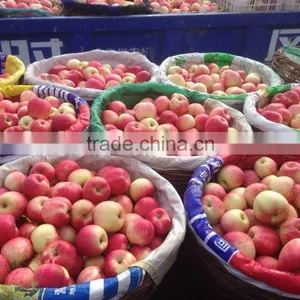 Fresh Apples thumbnail-2