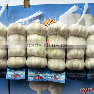 Supply Fresh Galic (5.5cm) thumbnail-1