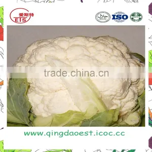 Organic Green Vegetables Fresh Cauliflower From Shandong Province thumbnail-2