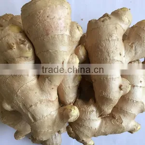 2015 New Crop Fresh Ginger, Air Dry Fresh Ginger, Chinese Fresh Ginger Price thumbnail-3