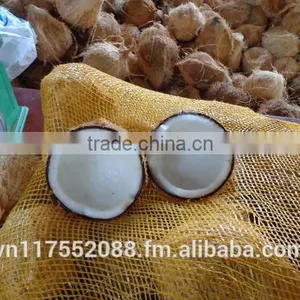 Semihusk Mature Coconut thumbnail-3
