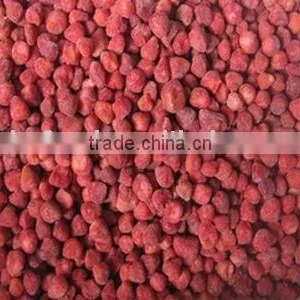 Iqf Blueberry Whole thumbnail-1