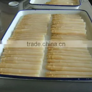 212ml/370ml/720ml Canned White Asparagus in Jar With Price thumbnail-3