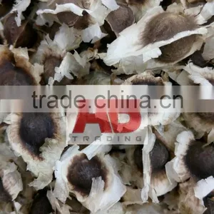 Organic Moringa Seeds/ Moringa Tea Cut Leaves/ Moringa Powder thumbnail-4