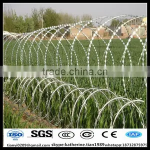 High Tensile Hot Dipped Galvanized Concertina Razor Wire Sharp Blade Barbed Wire for Security Fence for Sale thumbnail-1