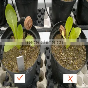 A Great Fertilizer TE Trace Element Fertilizer thumbnail-6
