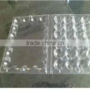 Quail Egg Boxes thumbnail-1