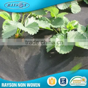 China Supplier Mulching Flower Wrapping Material Agriculture Black Plastic Film thumbnail-1